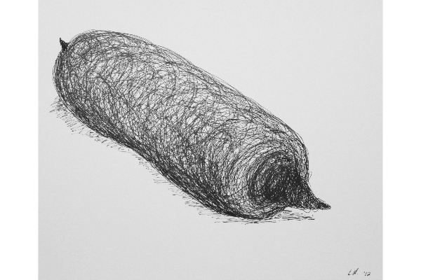 Drawn into Life IV, ink on Canson Bristol, 10x9 in.